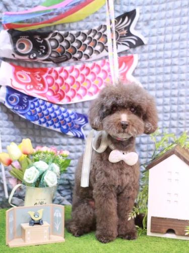 20230502きょうのちゃん